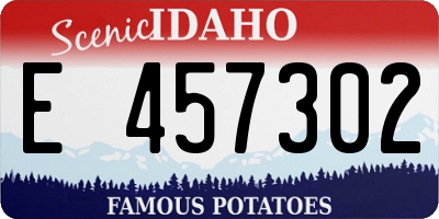 ID license plate E457302