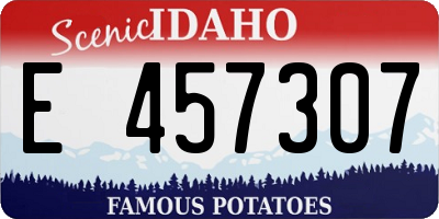 ID license plate E457307