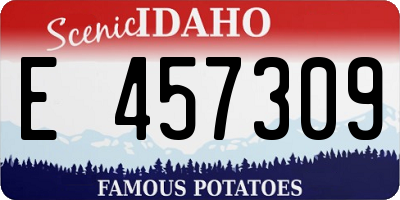 ID license plate E457309