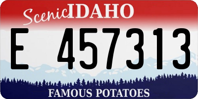 ID license plate E457313