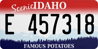 ID license plate E457318