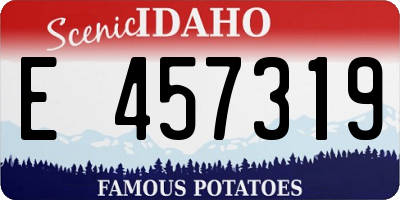 ID license plate E457319