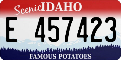 ID license plate E457423