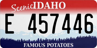 ID license plate E457446