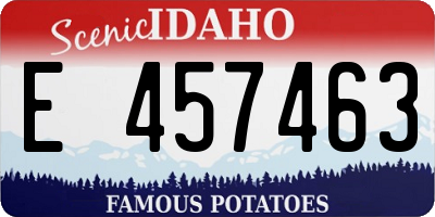 ID license plate E457463