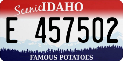 ID license plate E457502