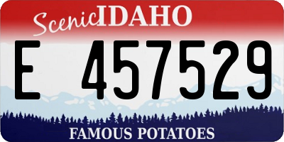 ID license plate E457529