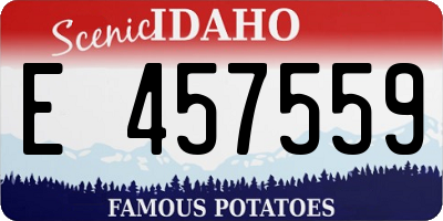 ID license plate E457559