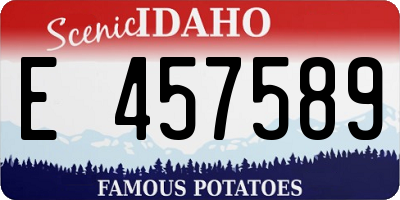 ID license plate E457589