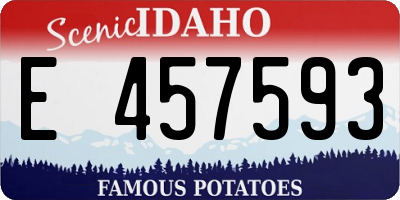 ID license plate E457593
