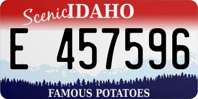 ID license plate E457596