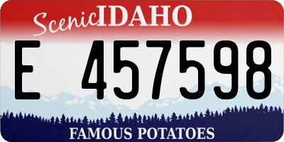 ID license plate E457598
