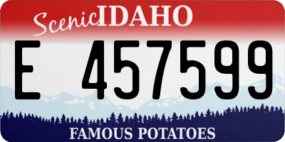 ID license plate E457599