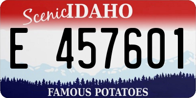 ID license plate E457601