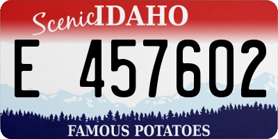ID license plate E457602