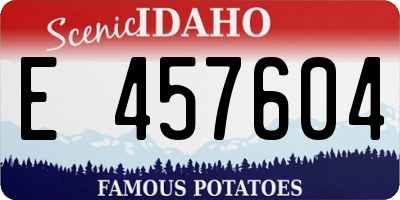ID license plate E457604