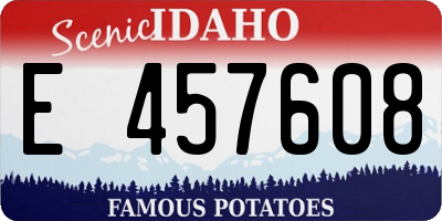 ID license plate E457608