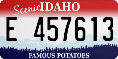 ID license plate E457613