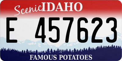 ID license plate E457623