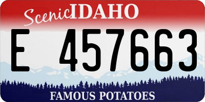 ID license plate E457663
