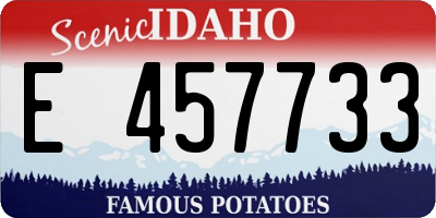 ID license plate E457733
