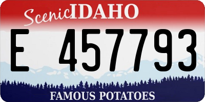 ID license plate E457793