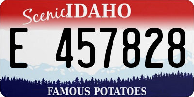 ID license plate E457828