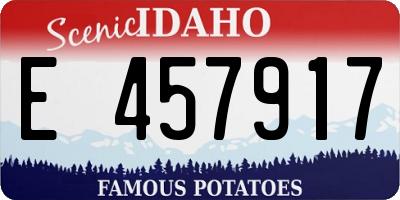 ID license plate E457917