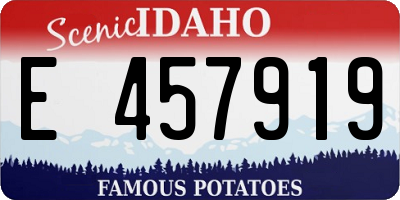 ID license plate E457919