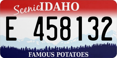 ID license plate E458132