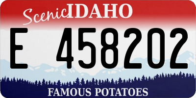ID license plate E458202