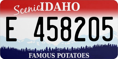 ID license plate E458205