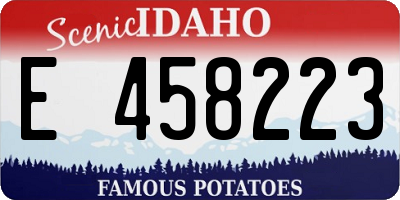 ID license plate E458223