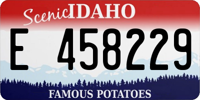 ID license plate E458229