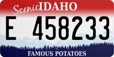 ID license plate E458233