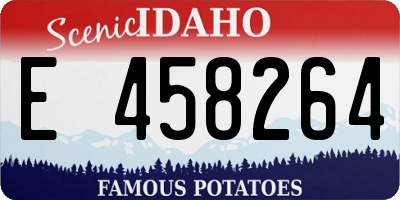ID license plate E458264