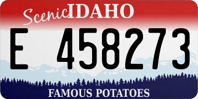 ID license plate E458273