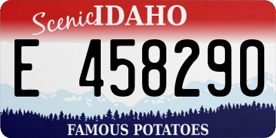 ID license plate E458290