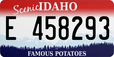ID license plate E458293