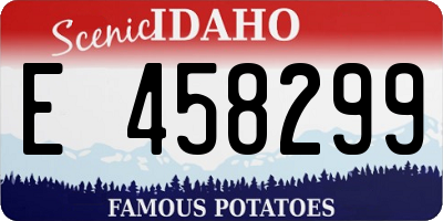 ID license plate E458299