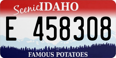 ID license plate E458308