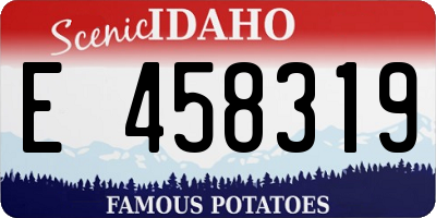 ID license plate E458319