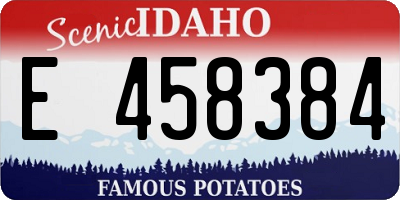 ID license plate E458384