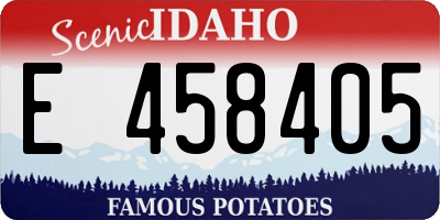 ID license plate E458405