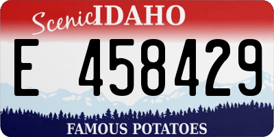 ID license plate E458429