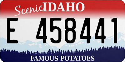 ID license plate E458441