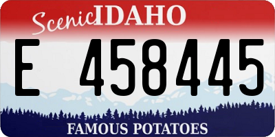 ID license plate E458445