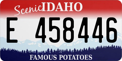 ID license plate E458446