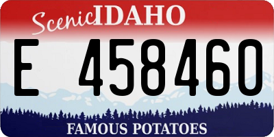 ID license plate E458460
