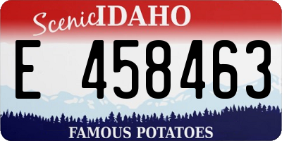 ID license plate E458463